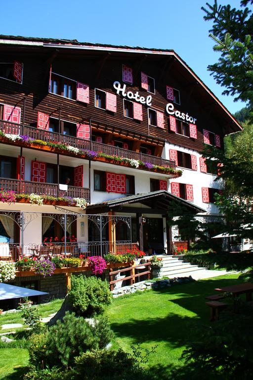 Castor Hotel 3*