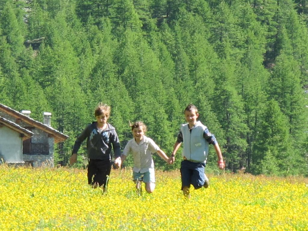 Castor Champoluc