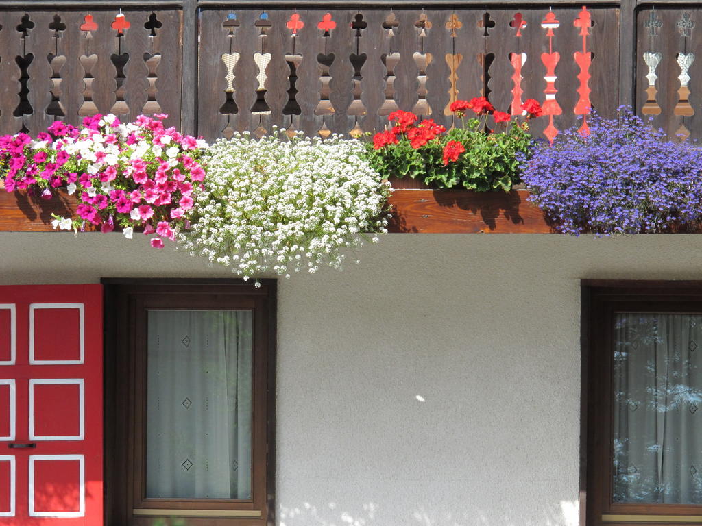 Hotel Castor Champoluc
